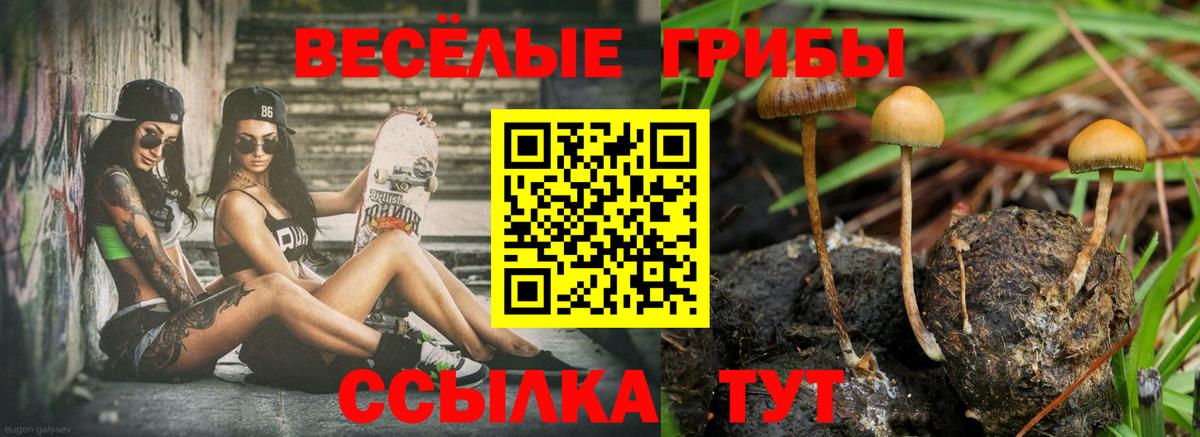 Псилоцибиновые грибы MAGIC MUSHROOMS  Вход с VPN  Похвистнево  купить закладку  Галлюциногенные грибы прущие грибы 
