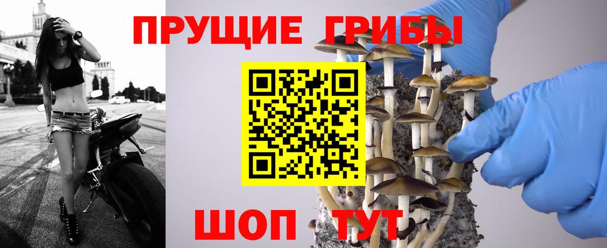 Псилоцибиновые грибы прущие грибы Похвистнево